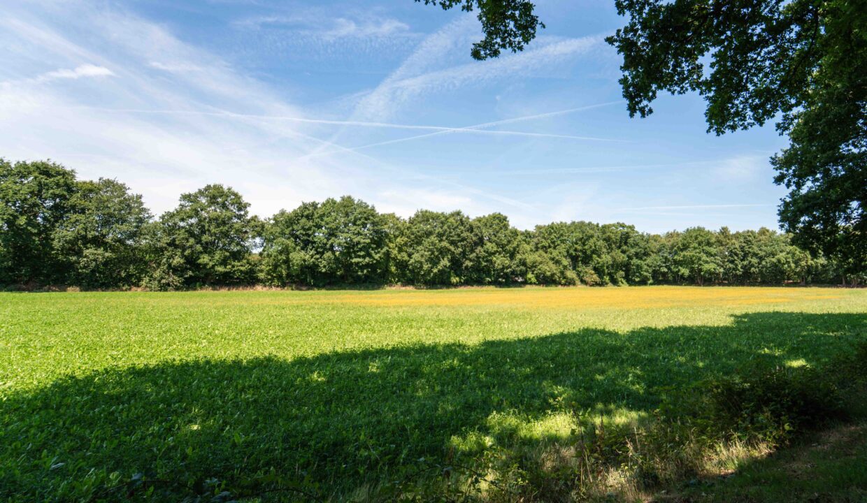 NR-OK-Heideveld-10
