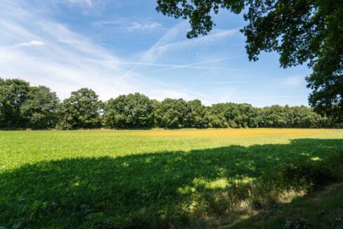 NR-OK-Heideveld-10
